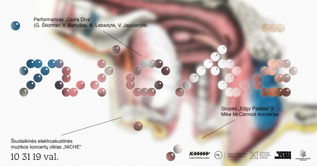 NICHE - Šiuolaikinės elektroakustinės muzikos koncertų ciklas | Edgy Palates, Mike McCormick, Casta Diva | Kauno menininkų namai