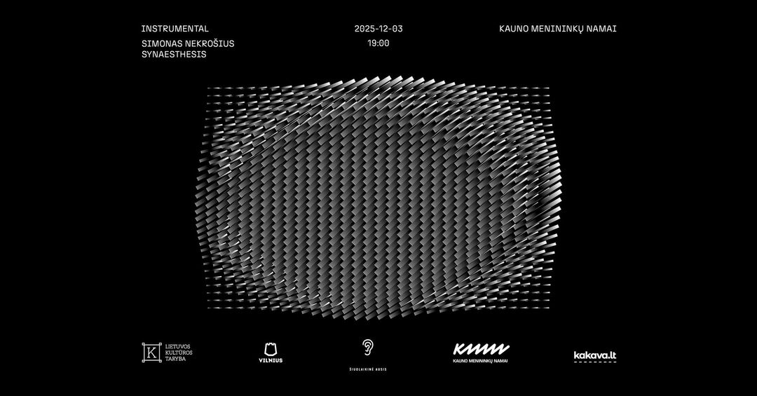 SYNAESTHESIS | INSTRUMENTAL | performatyvi garso instaliacija | Kauno menininkų namai