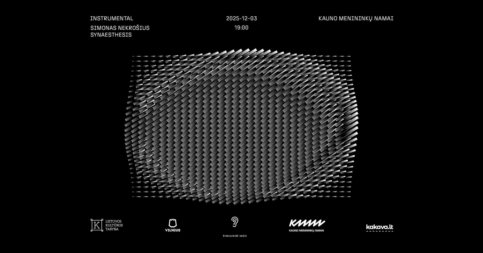 SYNAESTHESIS | INSTRUMENTAL | performatyvi garso instaliacija | Kauno menininkų namai